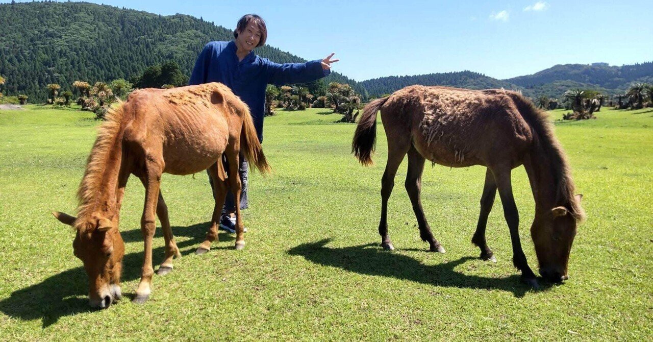 生き物の数え方｜倉敷翠松高校②学年主任 前良治/MetaMoJi