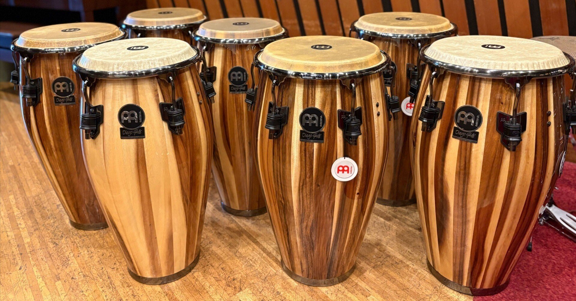 Diego Gale 『ディエゴ・ゲイル』／アーティストシリーズ／コンガ