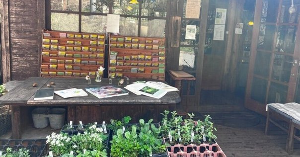 台湾漫画『採集人的野帳（植物コレクターのノート）』4巻セット 台湾文庫蔵書紹介:台湾漫画「採集人的野帳（植物コレクターの