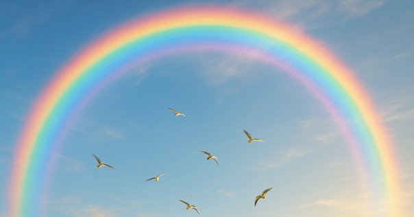 最近、虹を見ましたか？rainbowは何色？｜Yutaka