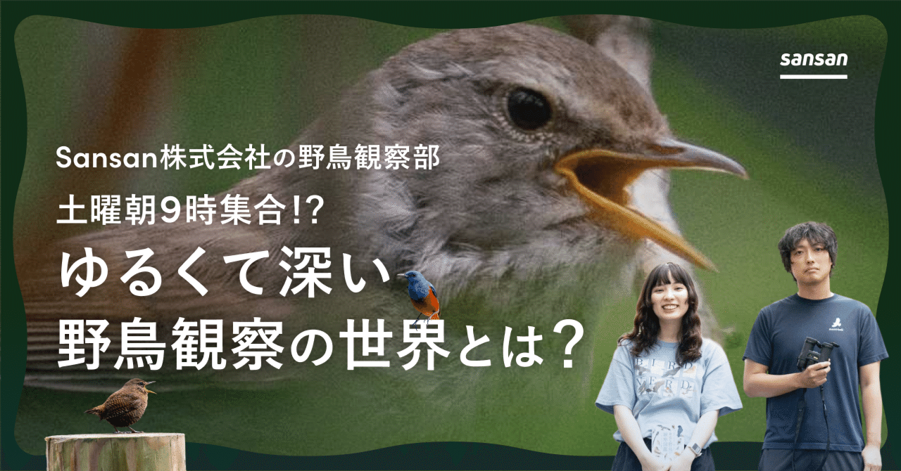 土曜朝9時集合！！ゆるくて深い野鳥観察の世界とは？｜Sansan公式note