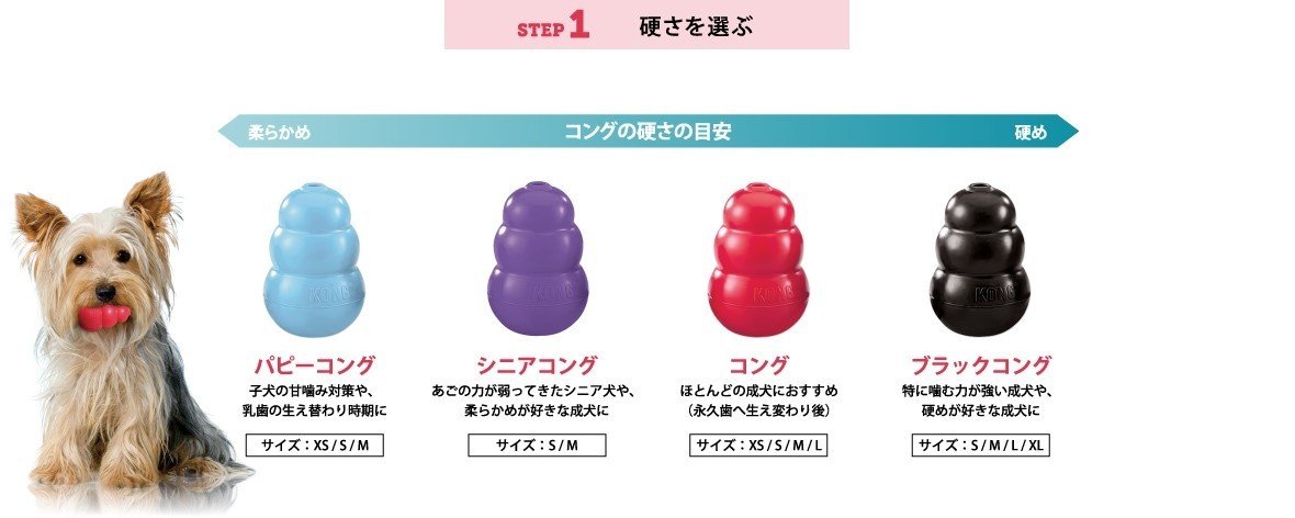 コングの使い方 Y I Dog Academy Note コングの使い方 Y I Dog Academy Note