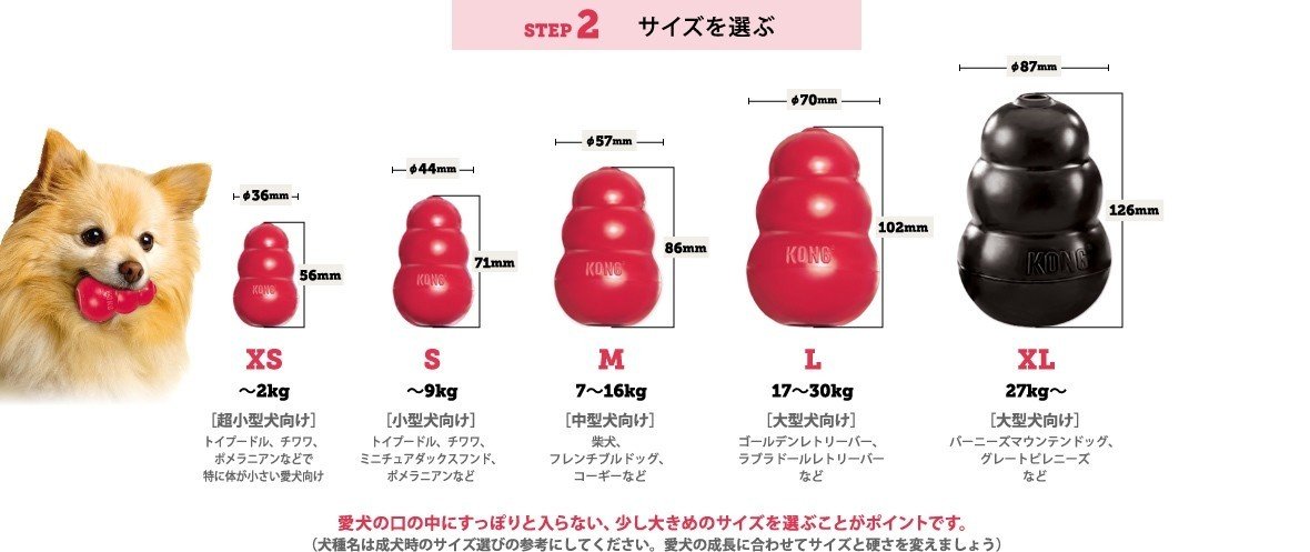コングの使い方 Y I Dog Academy Note コングの使い方 Y I Dog Academy Note