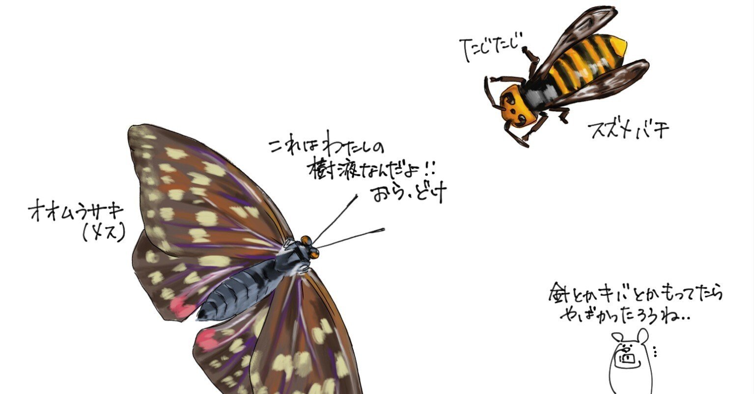 b751917bc970d4f15e3e35db017f4a