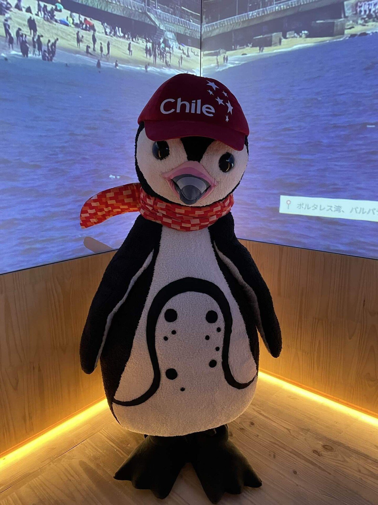 大阪・関西万博】#49 チリ （8/18追記）｜Orika