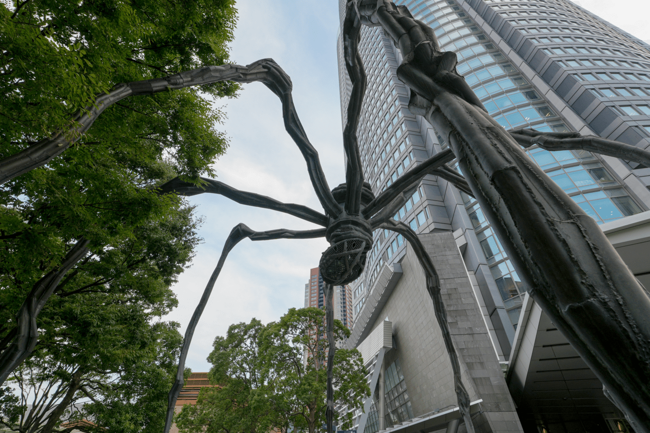 picture_pc_55547d79a762d0f0c16