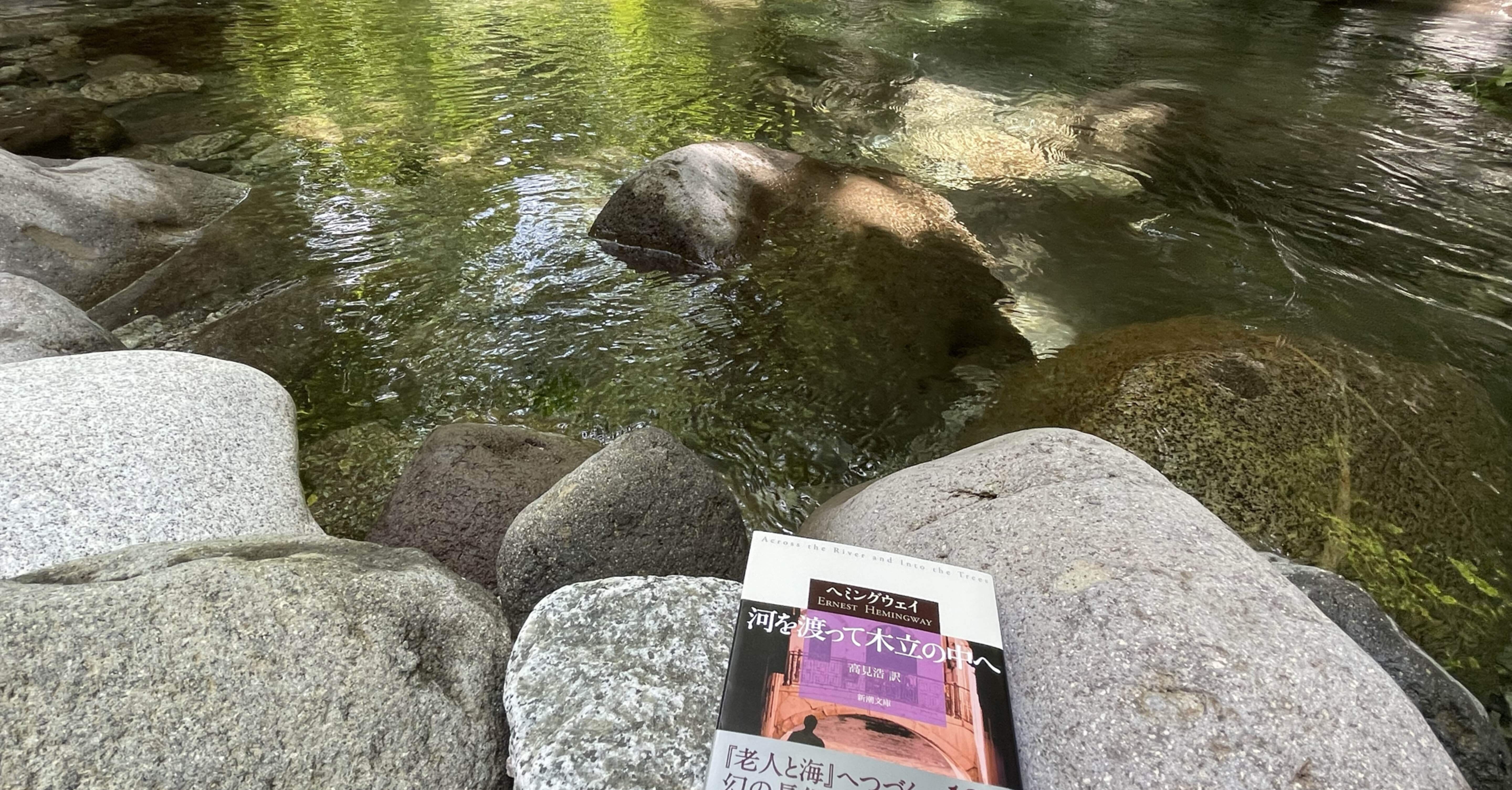 今さらヘミングウェイにドハマりしました。ゴーイング・マイ・ヘミング