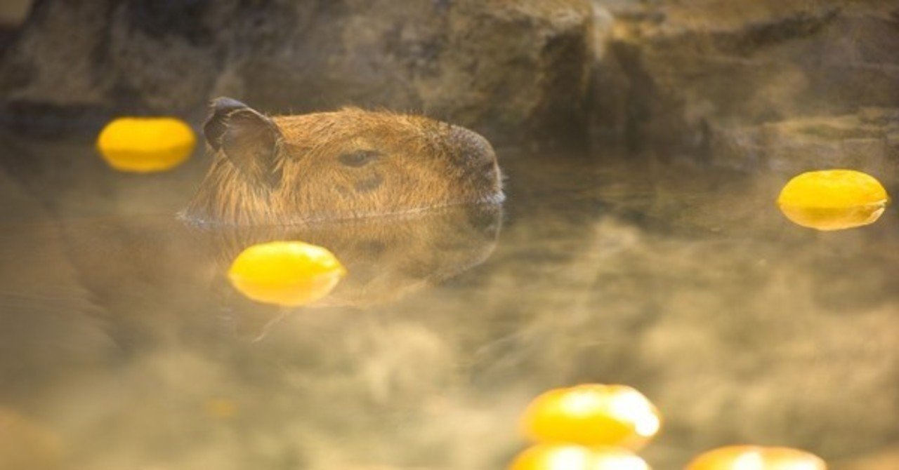 怖れを解消する 22段階の感情のスケールと ほっ とすることの大切さ ざびえる Note