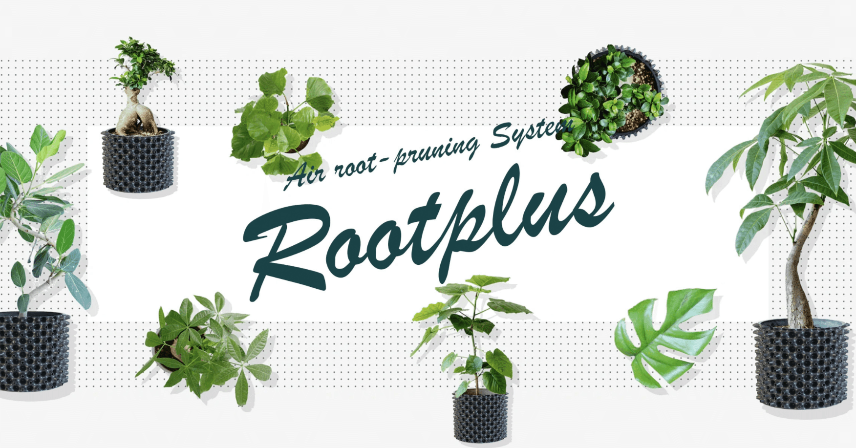 ルートプラスポットへの植栽おすすめしてます。 ルートプラスポット 12L 5個セット : 吉瀬園芸 - 通販 - Yahoo