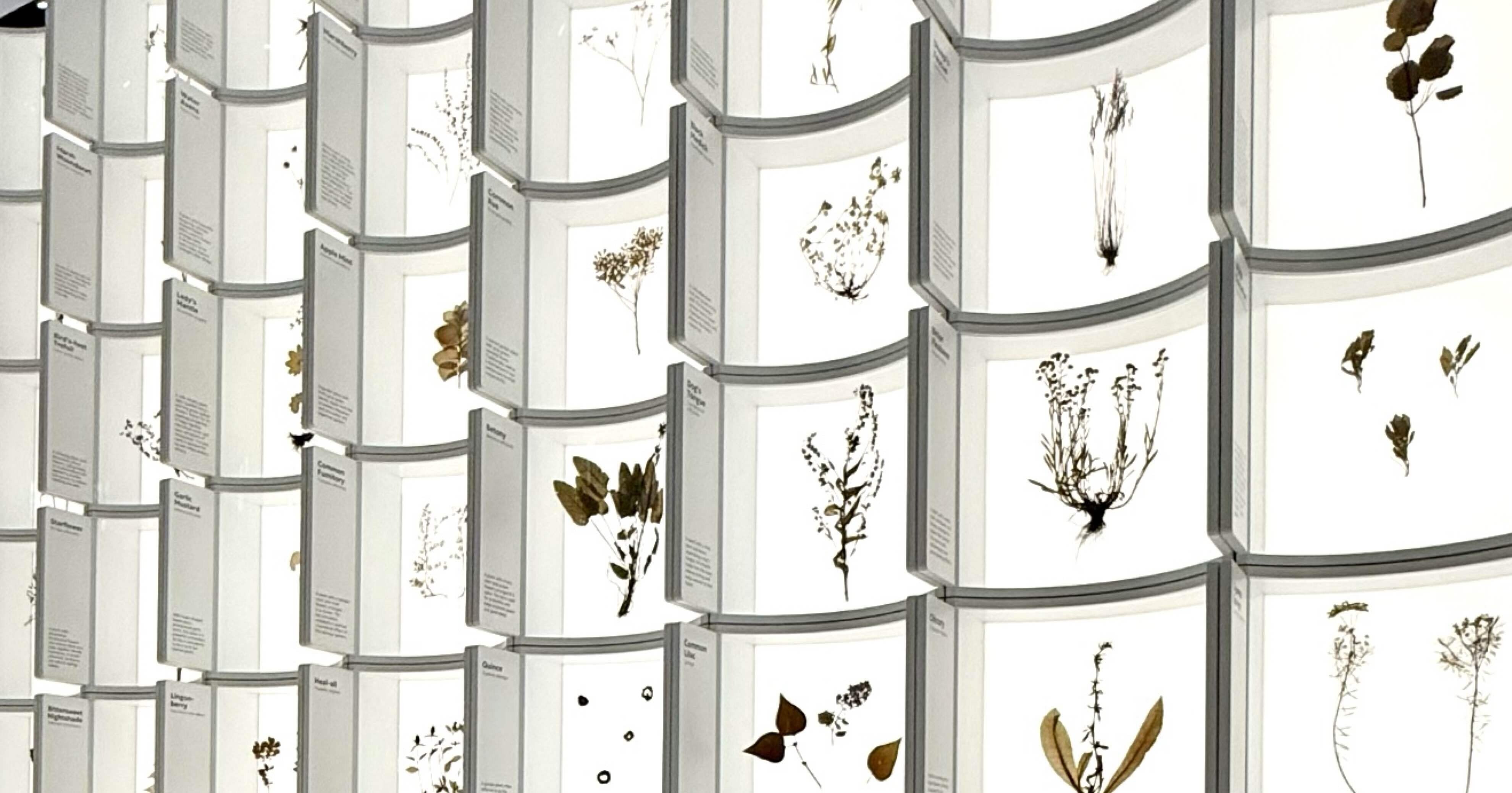 8f16bf05a186f50a2a860a48cdb71f