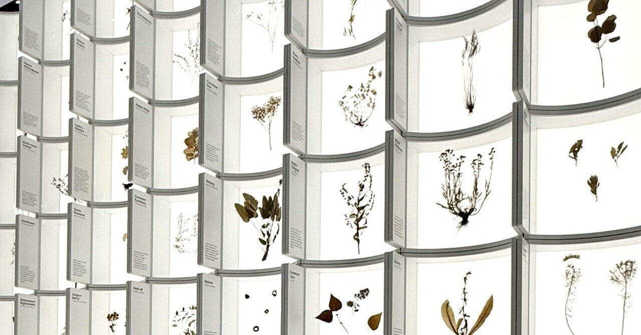 EXPO 2025 『バルト パビリオン』 美しき薬草標本がズラリと