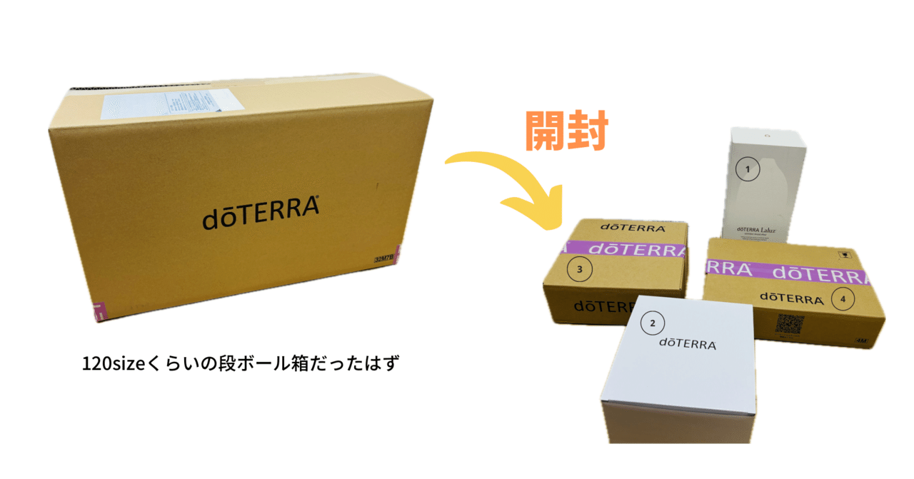 doTERRA購入レポ｜こーひーまめ☕️