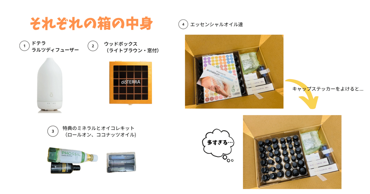 doTERRA ラマラコレクション【限定品】箱入 米国表示 doTERRA購入レポ｜こーひーまめ☕️