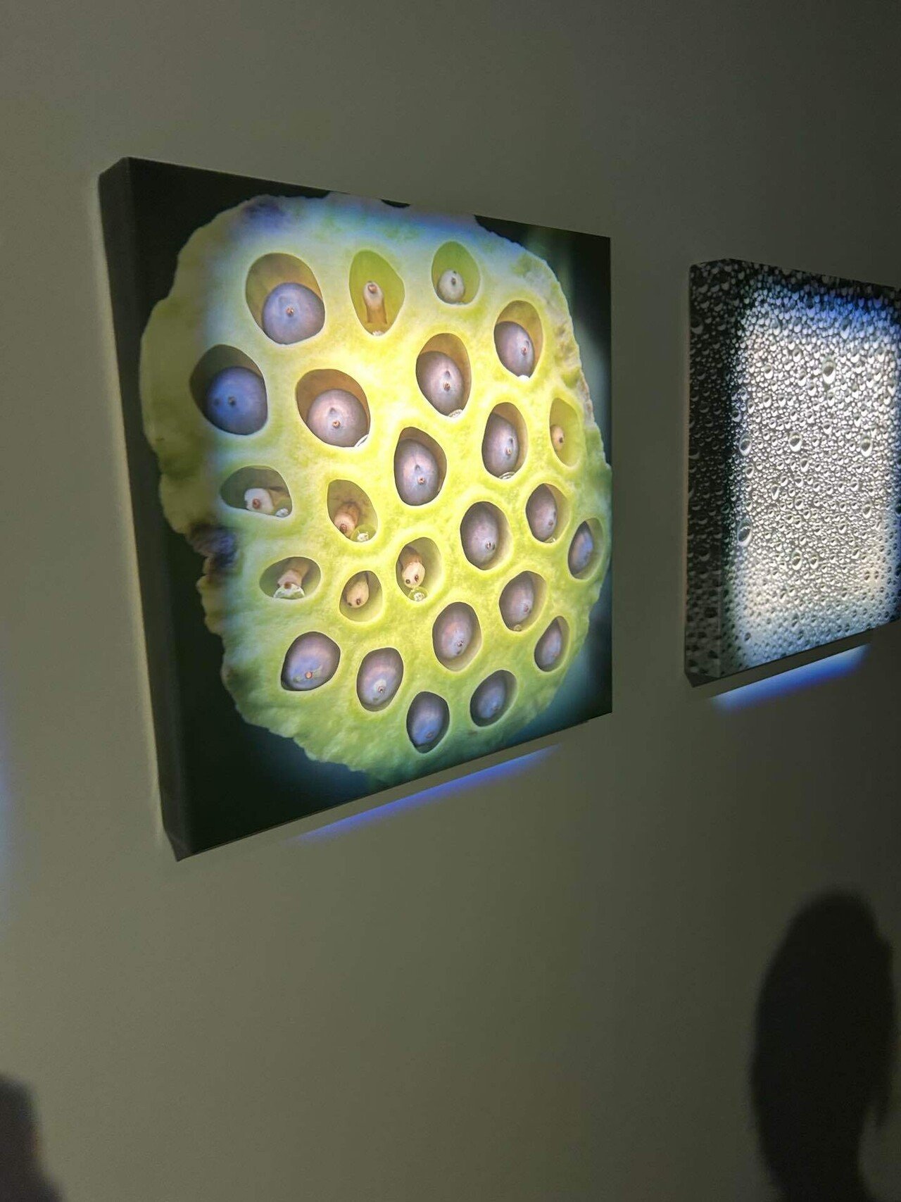 恐怖心展』に行ってきた感想｜かざね