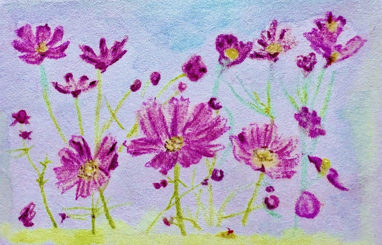 茶花抄-絵と文による花のすがたとエピソード Amazon.co.jp: 茶花〈11〉―季節の花を入れる (淡交テキスト