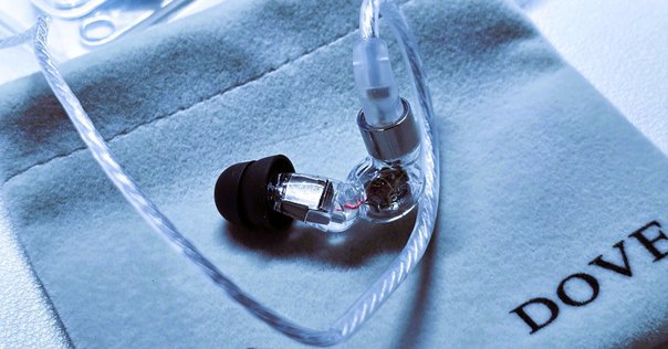 人工内耳 人工内耳の電極選択の考え方（2025年）｜南 修司郎