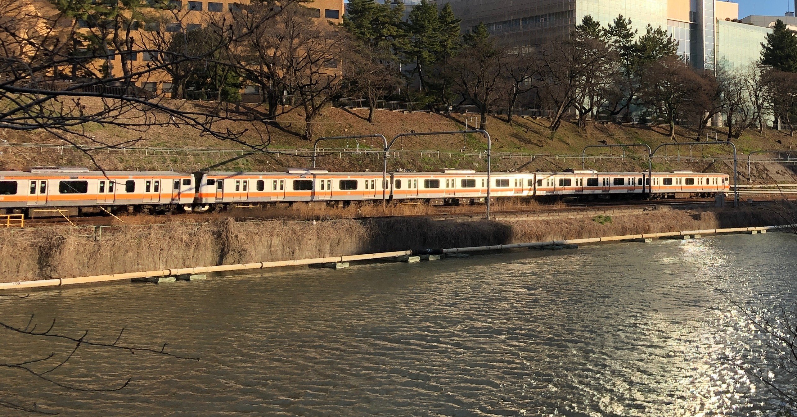 武蔵小金井ショック 鳳仙花 Note