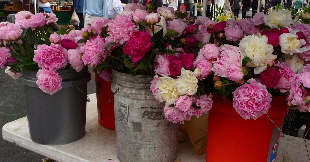 6 アメリカの 小規模フラワー ファーマー フローリスト は どんな方法で自分の育てた花を売っているか Yukibean Yuki Bee Note 6 アメリカの 小規模フラワー ファーマー フローリスト は どんな方法で自分の育てた花を売っているか Yukibean Yuki Bee Note