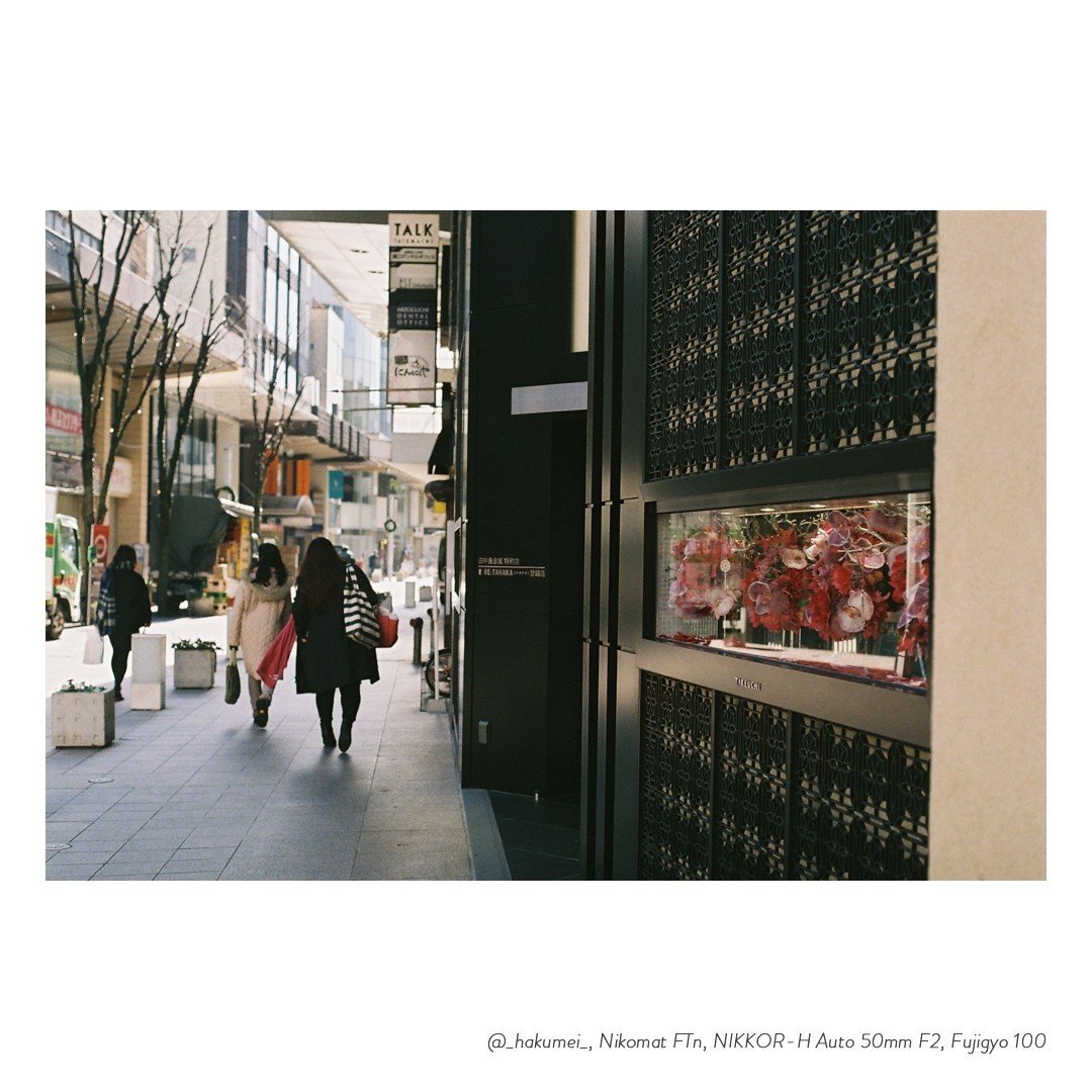 my camera] Nikomat FTn｜薄明