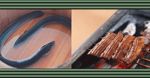 うなぎ裂き包丁】 江戸サキ、名古屋サキ、京サキ、大阪サキ、九州サキ