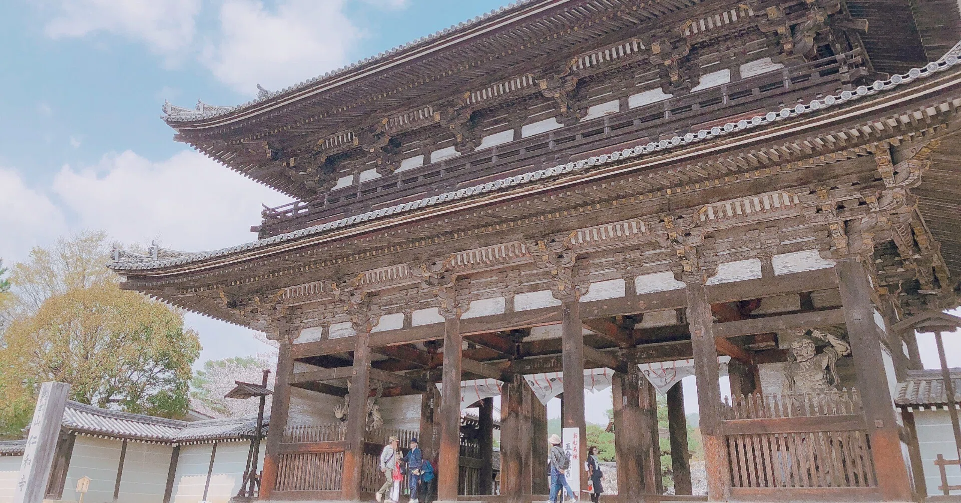 京都市右京区 国宝「御室仁和寺・御室桜・金堂」｜地域文化ライター研究生