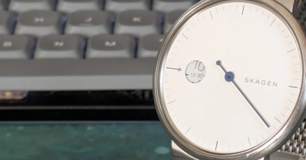 No.140 | Skagen | SKW6193 | 針が1つしかない時計｜とある猫好き