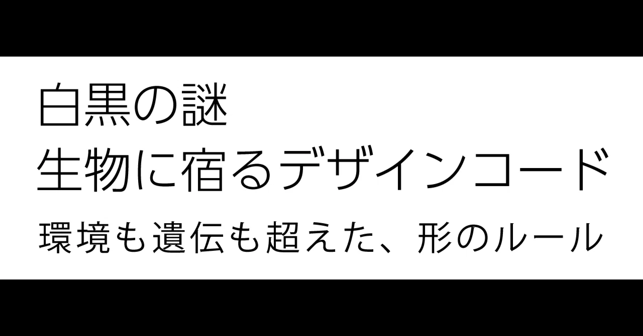見出し画像