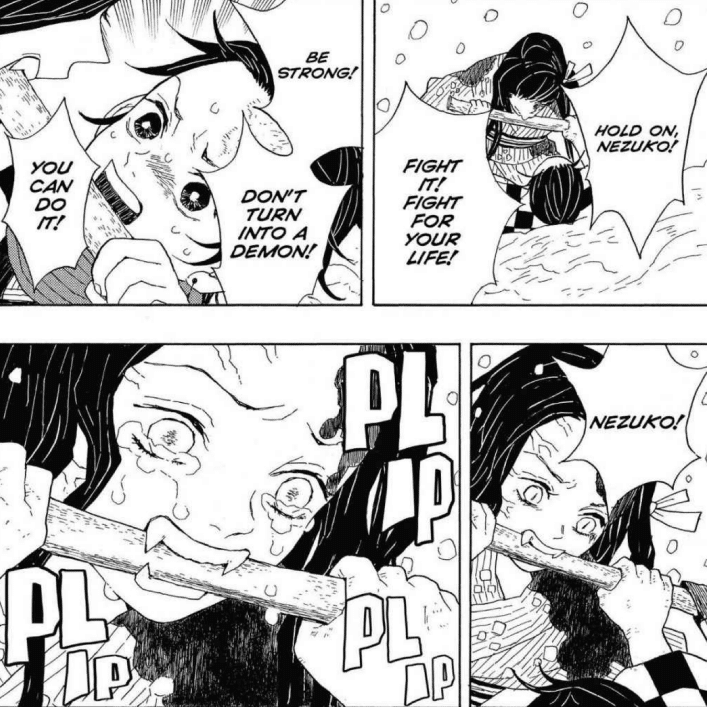 英語版　鬼滅の刃　洋書　漫画 Amazon | Demon Slayer: Kimetsu no Yaiba, Vol. 1: Cruelty