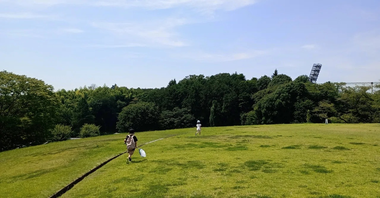Hayashi Seminar Recruitment Guidelines (FY2026)｜林祥平（中央大学）