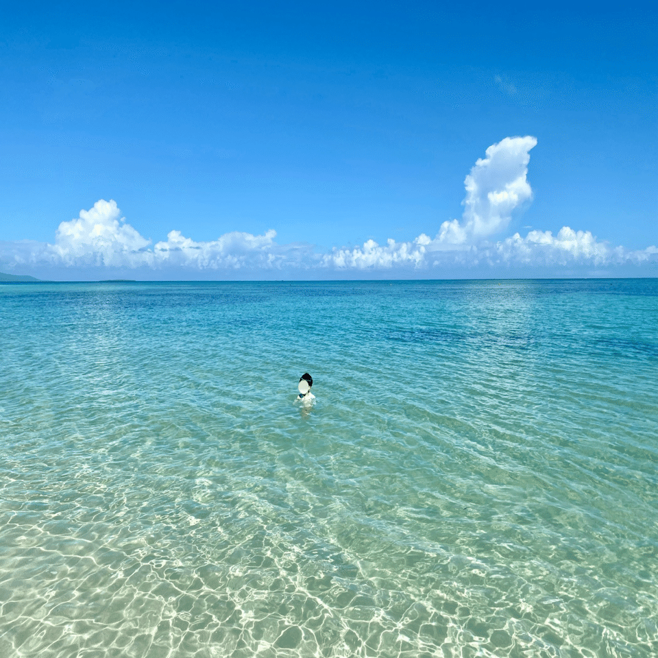 子連れ石垣島】#2 竹富島｜天国だったコンドイビーチ｜ぴのこ
