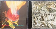 Chapterhouse」の「blood music」というじゃないほうアルバム