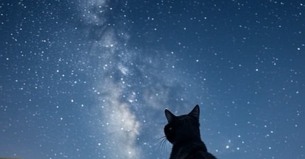 星空車掌 思考「星空を撮りたくなってきた…」｜K.