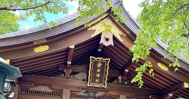 小山オサム、【忍野朝富士】、希少な額装用画集より、状態良好、新品額装付 下谷坂本富士】1年で2日だけの「お山開き」｜小野照崎神社