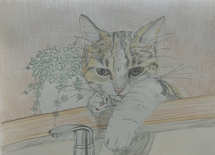 まるちゃんです　色鉛筆画 ◯ご依頼作品○ フォロワー(@yun_nb_sou )さんからのご依頼になります