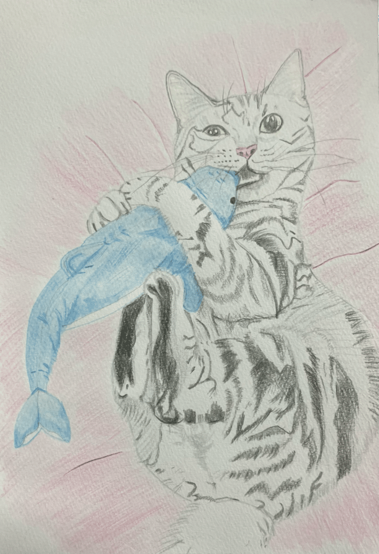 色鉛筆画 - 絵｜まる｜note