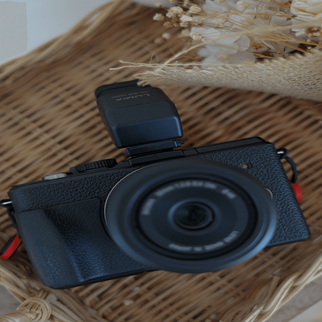 LUMIX日記]今でも最高のカメラ LUMIX GX1｜Lumixer