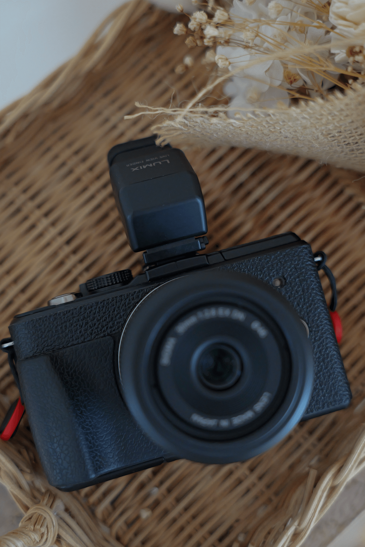 LUMIX日記]今でも最高のカメラ LUMIX GX1｜Lumixer