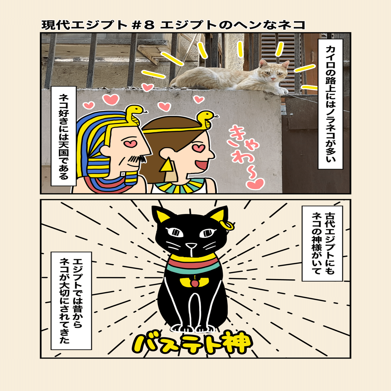 現代エジプト#8 エジプトのヘンなネコ｜クレオパト香