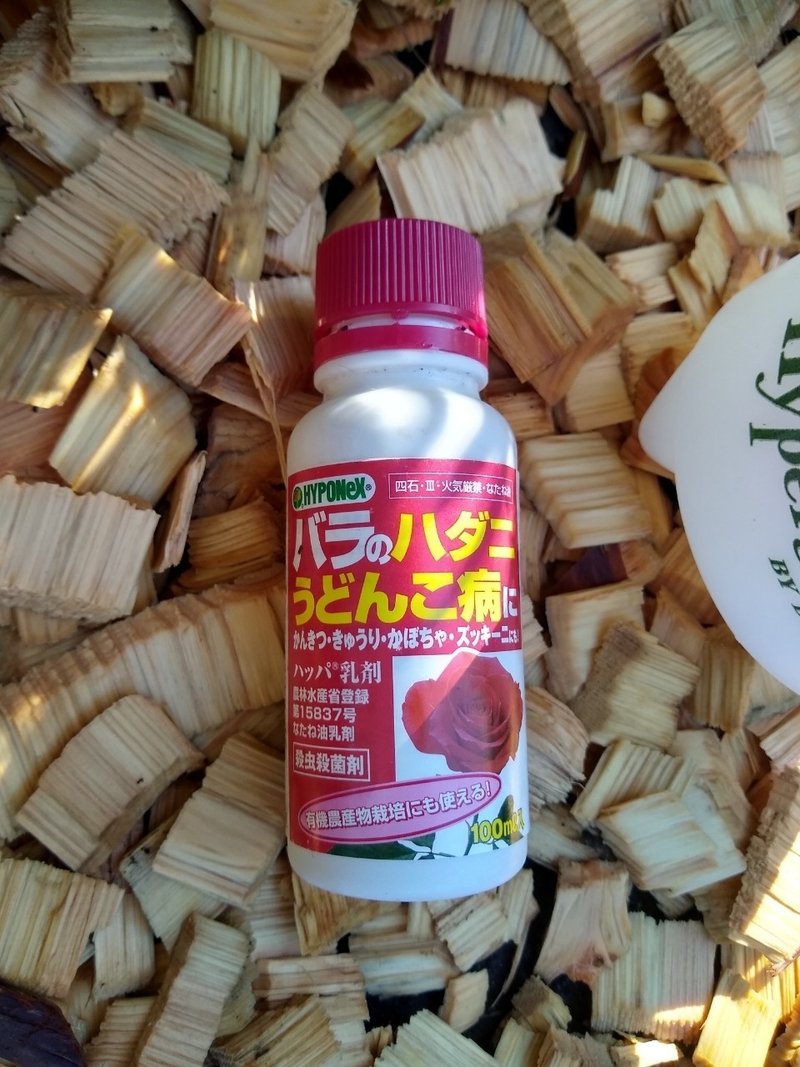 バラの病虫害予防 はじめました ヤマネケイ Note