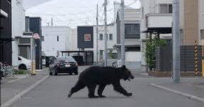 c1c643abe6b5251c1b31465db18108