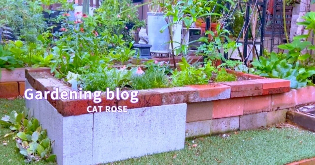 お庭へっぽこDIYで花壇の修復｜Cat rose 「ガーデニングブログ Cat