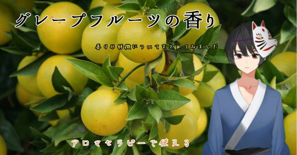 グレープフルーツの香りについて Shinichi Sakura Note