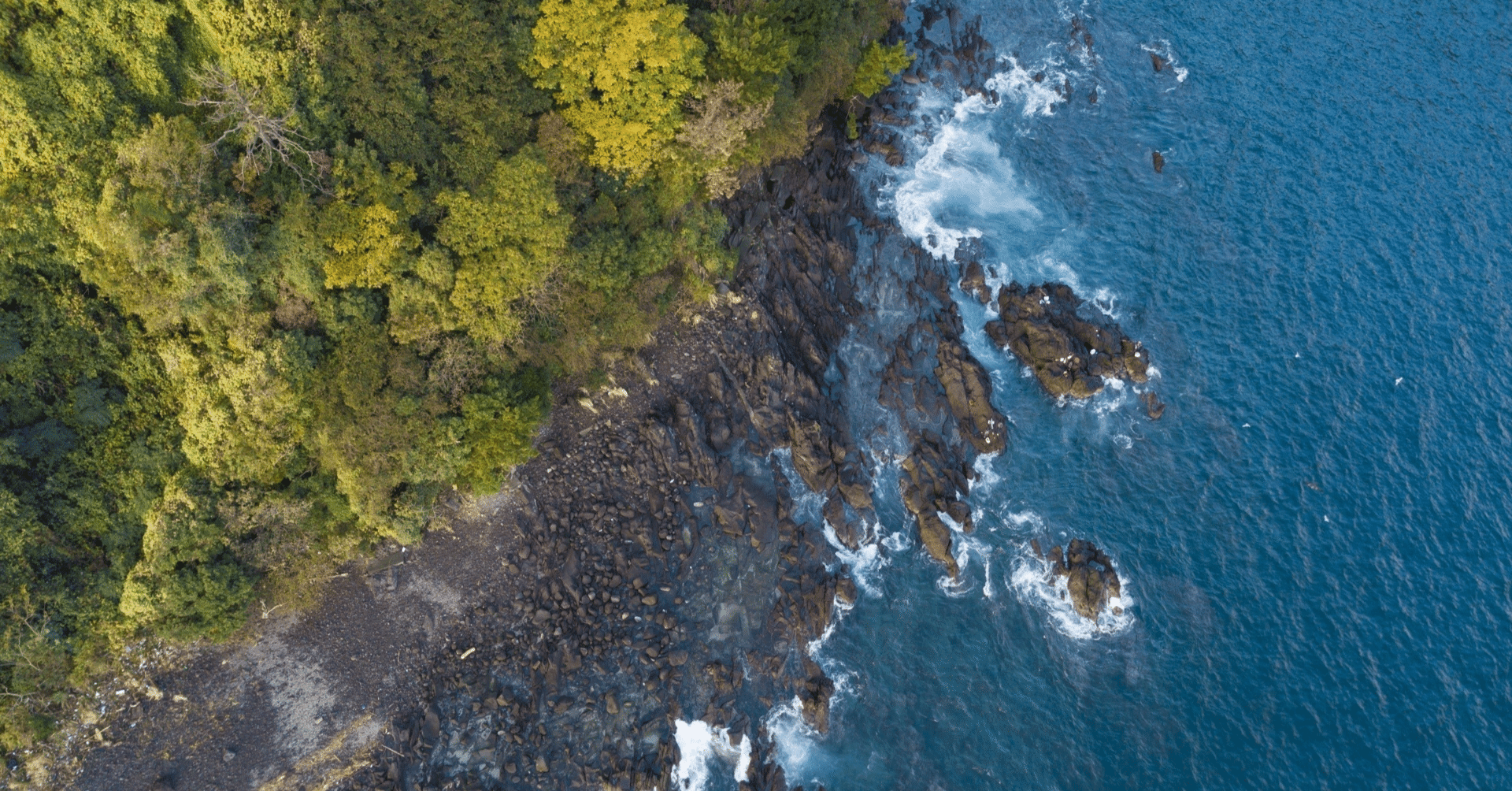 真鶴の栄寿司さんにあるジャック・マイヨールのサインを拝みに行ったよ