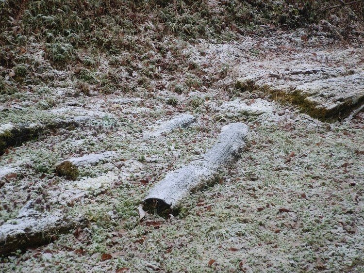 昨日は雪になったが大した雪ではなかった。