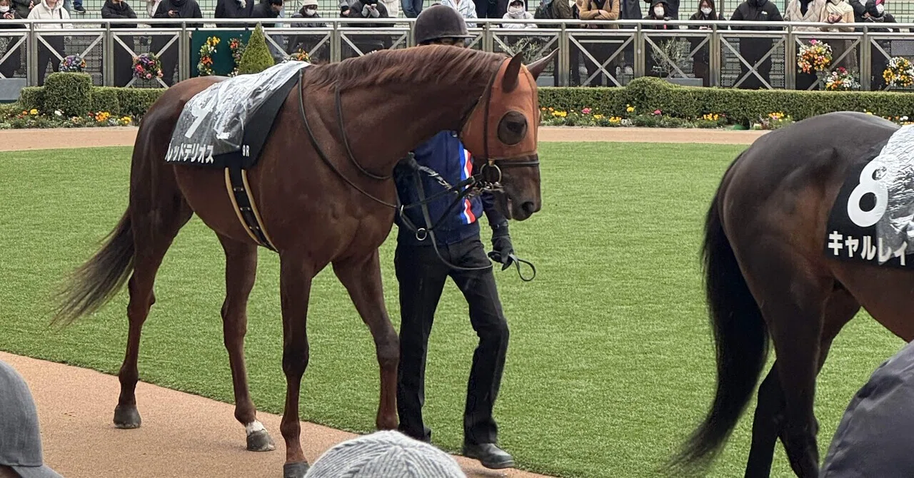パドック考①_「1頭ずつ馬を評価」しなくていい｜競馬を楽しむnote