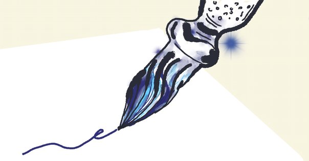 カンカラコモデケアの問題点｜喜多野土竜