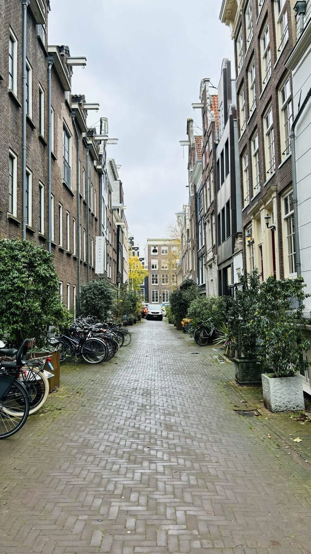 ヨーロッパの旅録 in オランダ🇳🇱〜アムステルダム①〜】｜misa