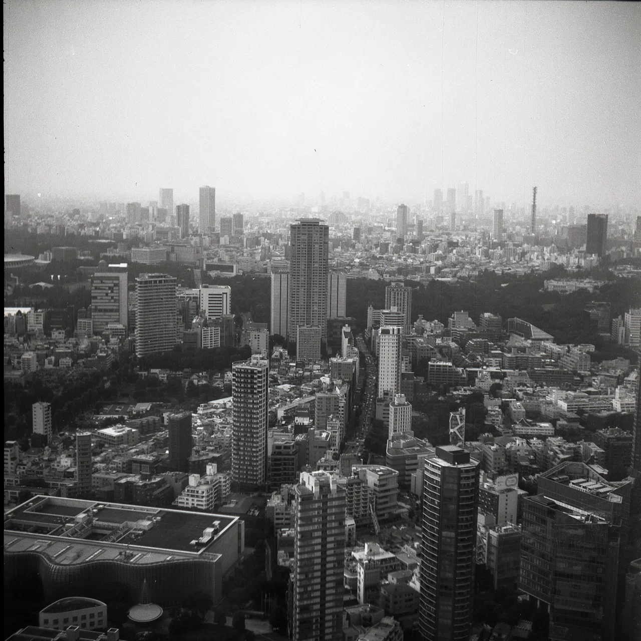 Yashica 44｜SACHIKO_S