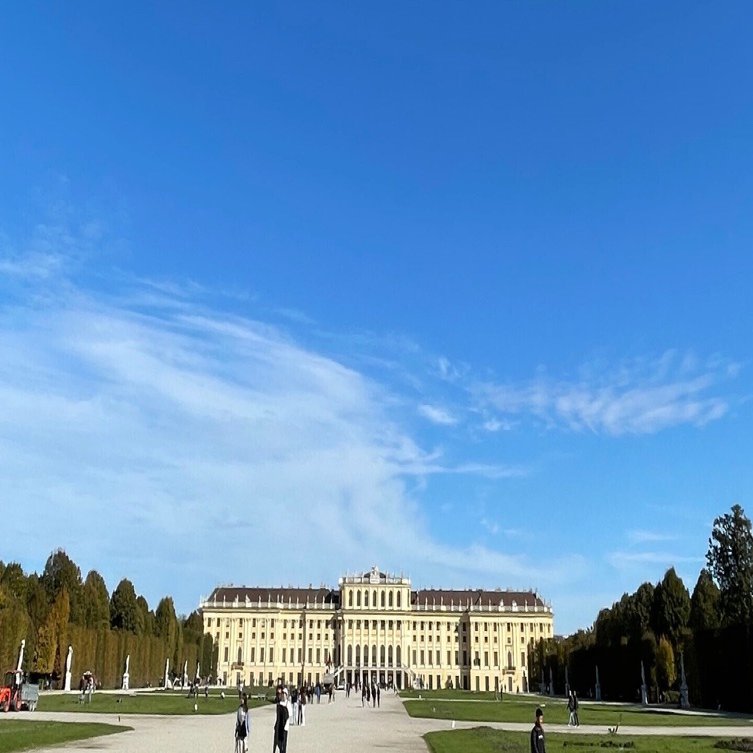 2024年10月中旬 ウィーン旅行記｜菊