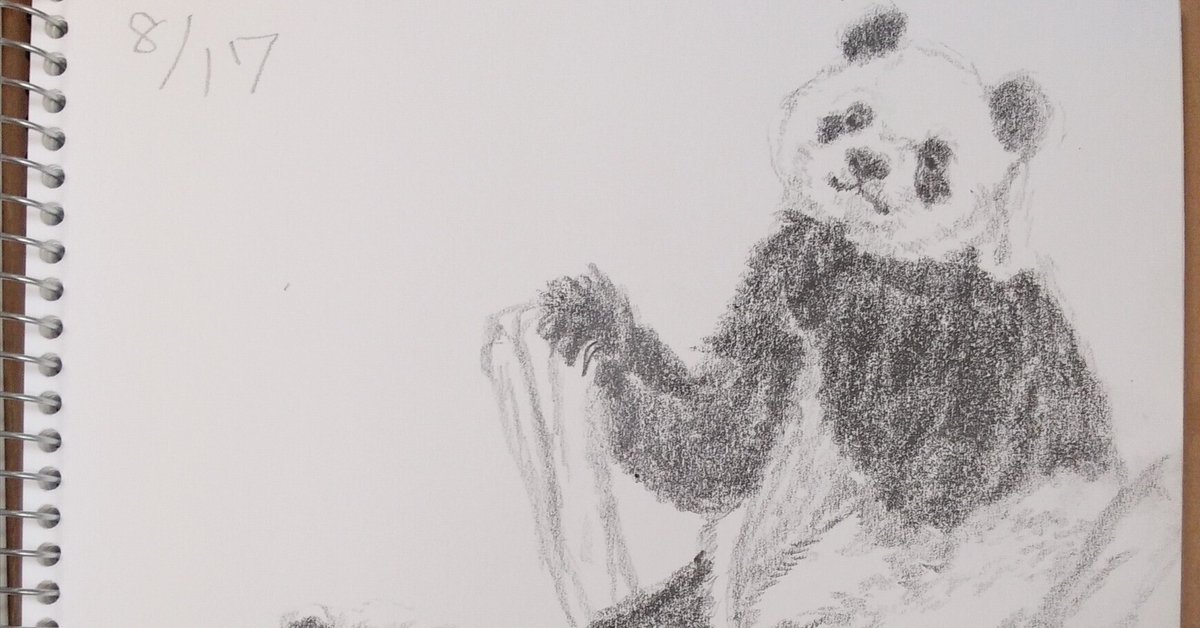 Chito Bear パンダ テディベア 作家